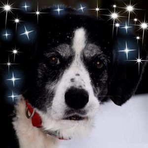 Meet your Posher, Wendy